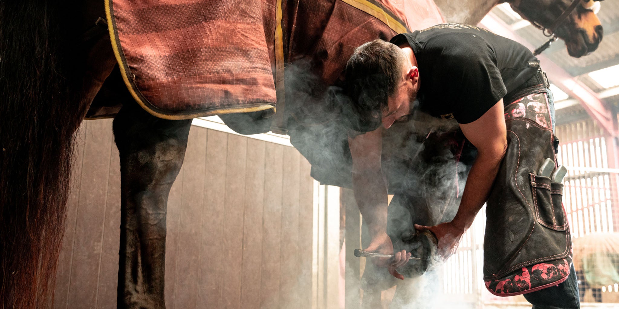 farrier burning a horseshoe on wearing farrier chaps