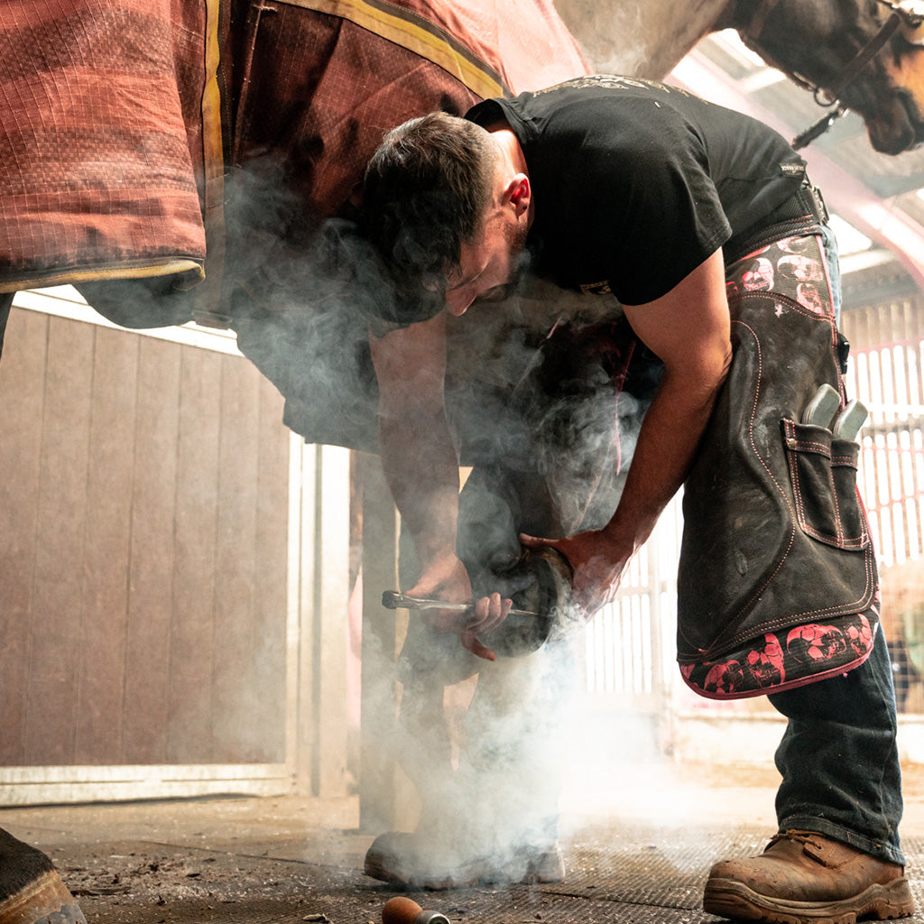 farrier burning a horseshoe on wearing farrier chaps